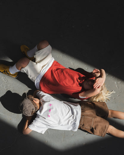 Plant-Pal Hemp Tee - Faded Red